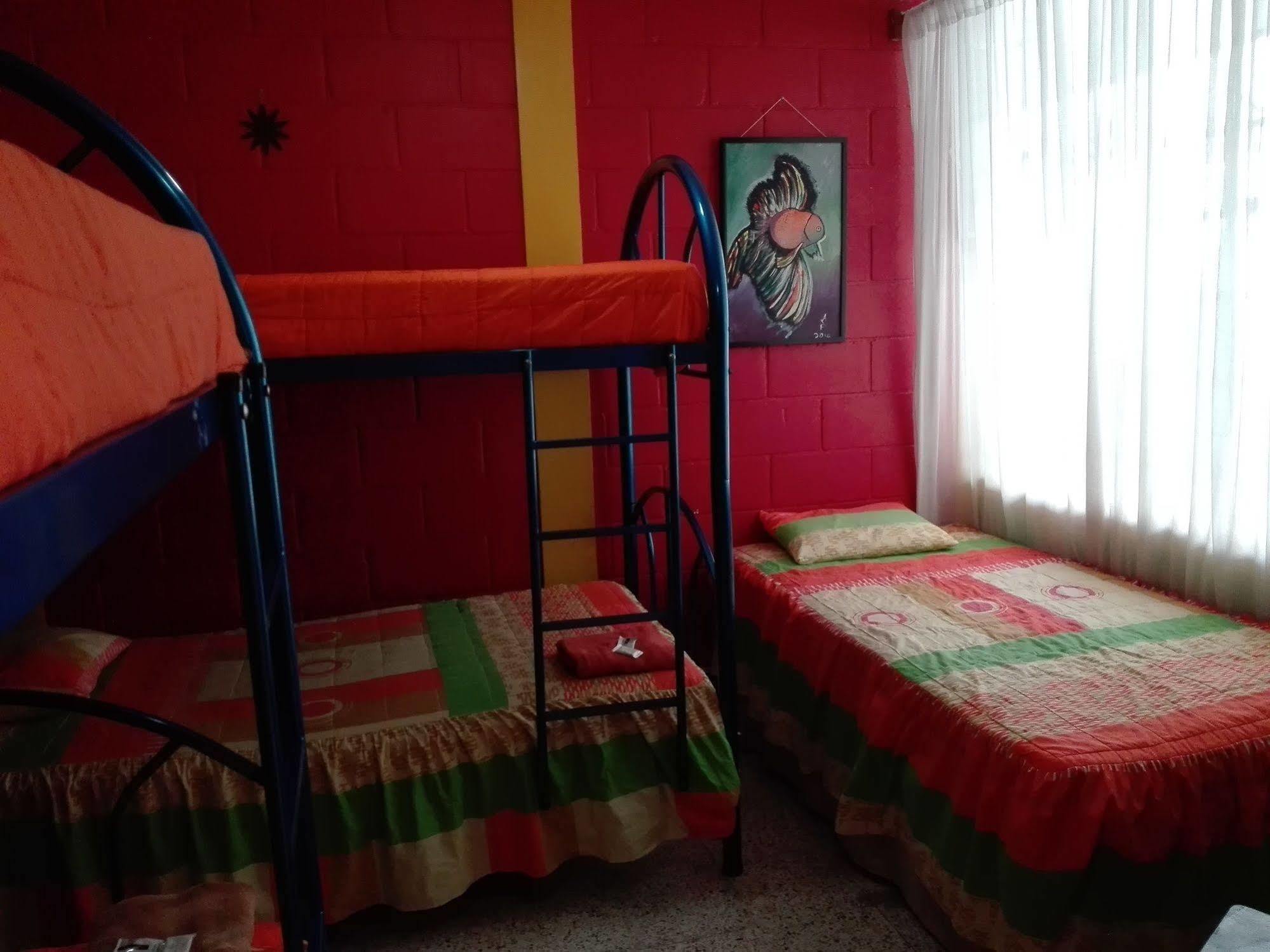 Hostal Guatefriends 危地马拉 外观 照片